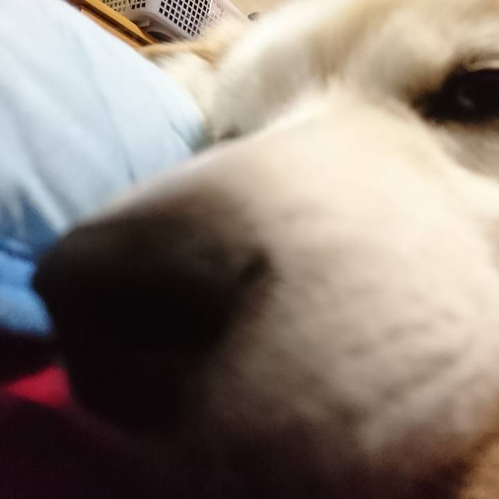 3ae12e9a 3260 44d3 9a4e 5adb58f4b29e