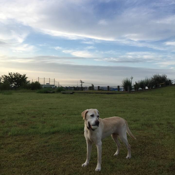 3ae13594 1e92 40df 8d3f 5dafb9ed5585