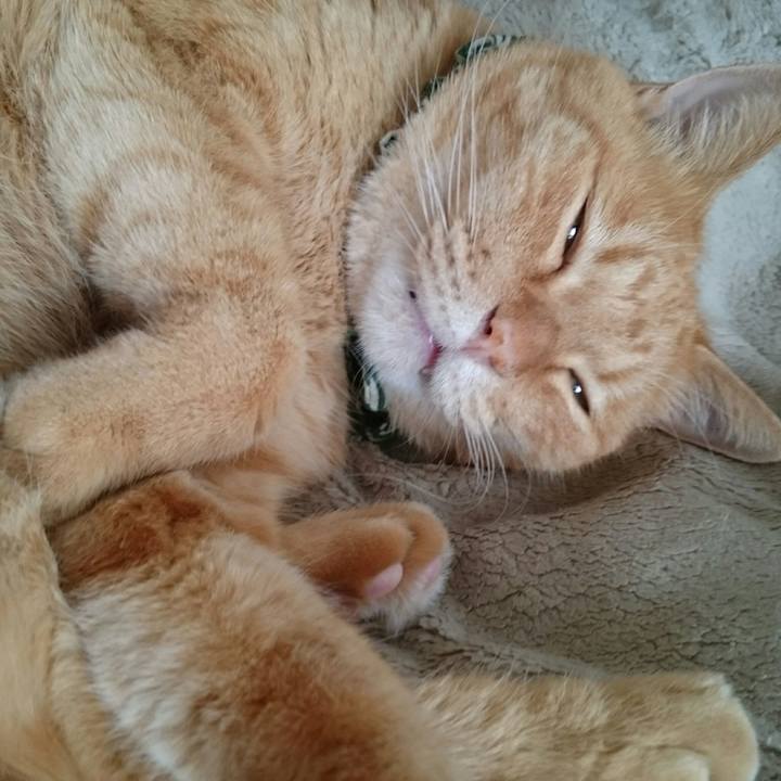 3ae2421e 19db 4b85 bec7 ec55761b0139