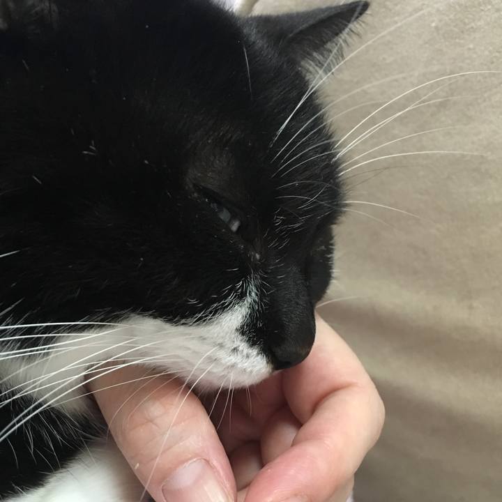 3ae26afb 9e20 4c90 9e31 dd56122a1851