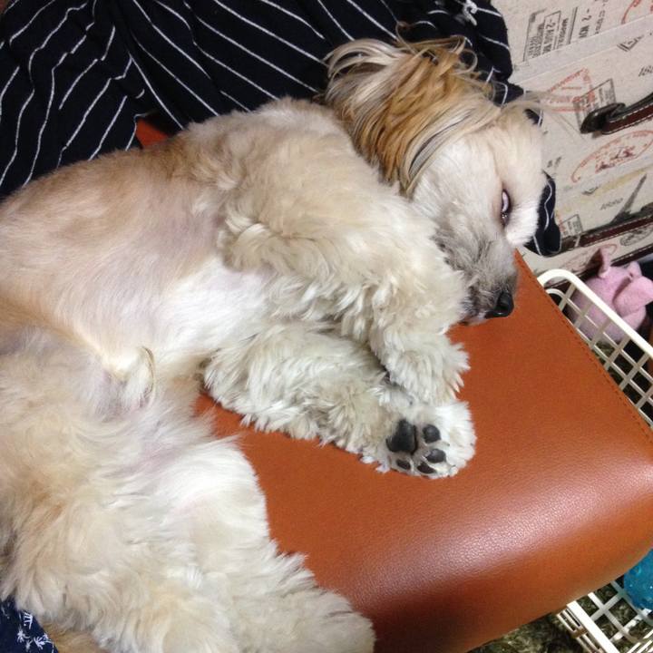 3ae27d7c 1d9b 494b 8767 2f4133a31672