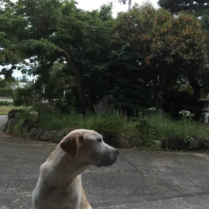 3ae2aa81 422c 45f6 ad92 64cc01825c79