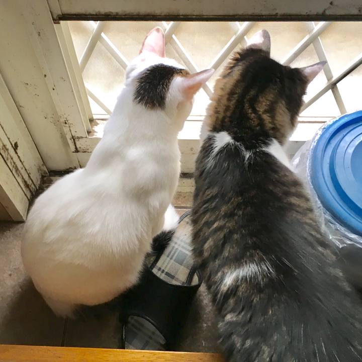 3ae2dac4 f584 4eeb b48d a4fb0c8990d3