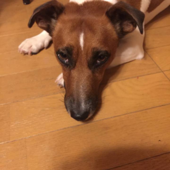 3ae3bca4 39d3 4399 bc11 e02603656402