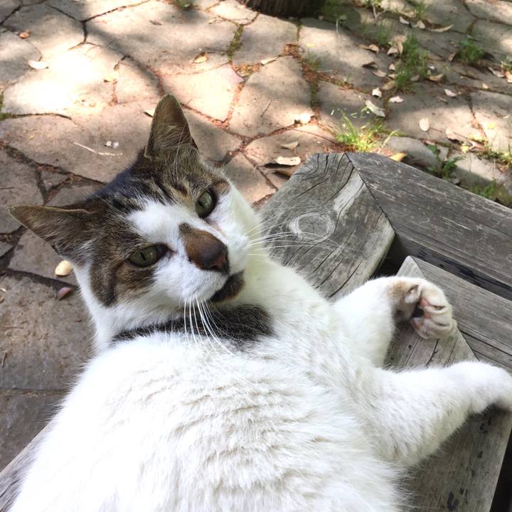 3ae40740 6496 4158 b339 a4d2d7d565fb