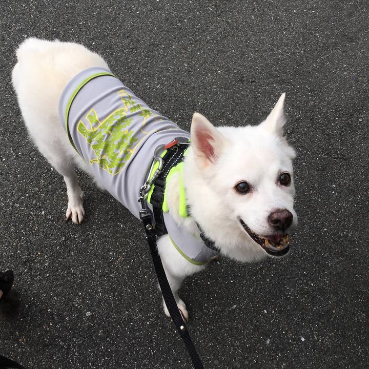 3ae42f30 f4da 4d9e bcc3 5dee5af0ee97