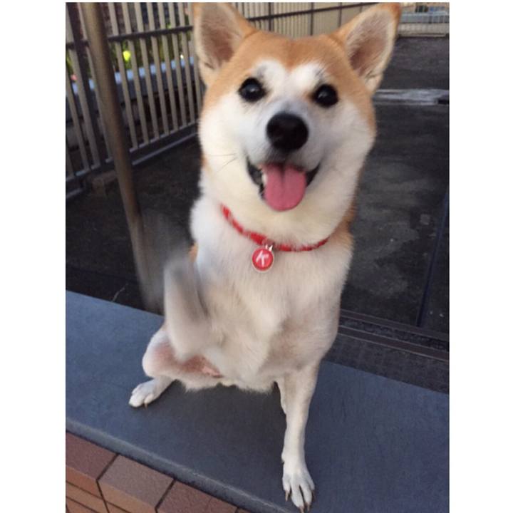 3ae46aa0 ba83 4a94 9cd6 0f06734e5fa6