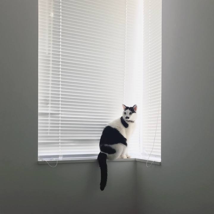 3ae4a115 19f9 47f5 a14c 7485a7e7c886