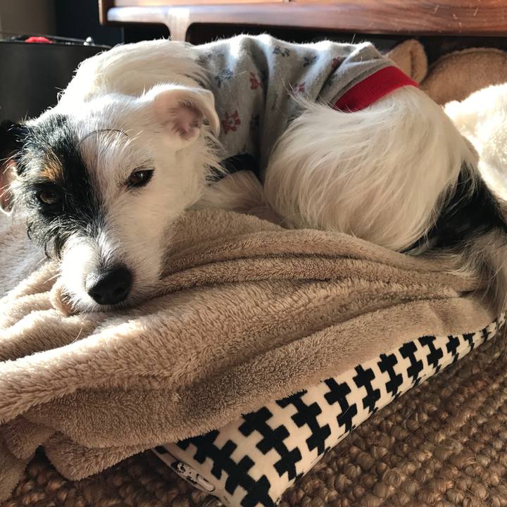 3ae4d5c1 31c1 4899 8cbb 80729055a14d