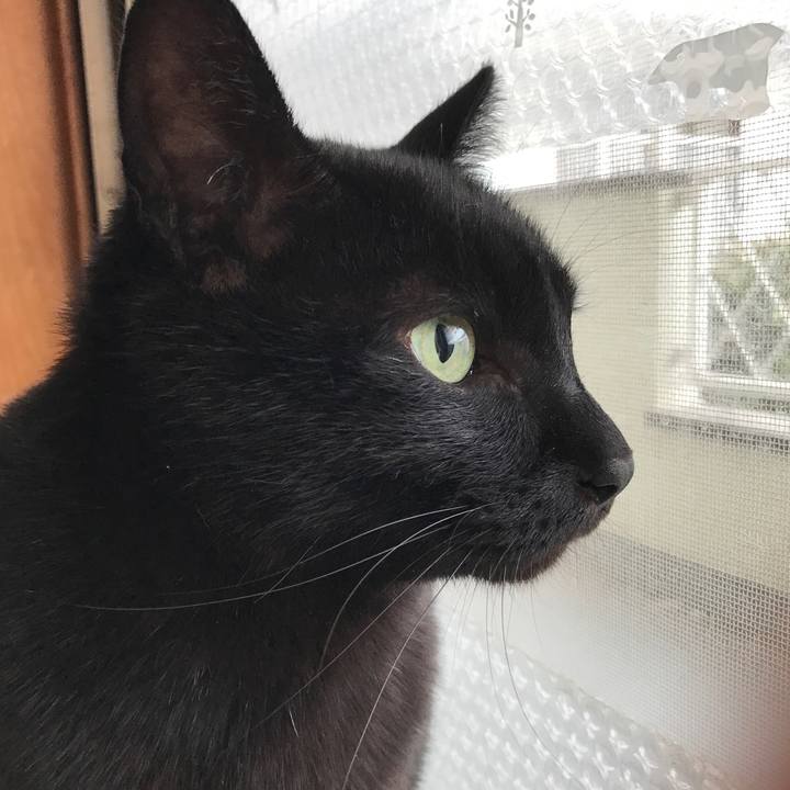 3ae567cb 2b51 4efd 8e38 06a55f418a7d