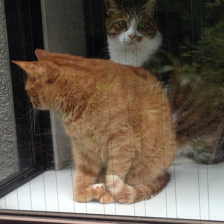 3ae56daf b458 4fa3 a149 9f69279ce35f