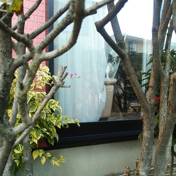 3ae59e54 7d28 4b14 9f2b c7d272aef5aa