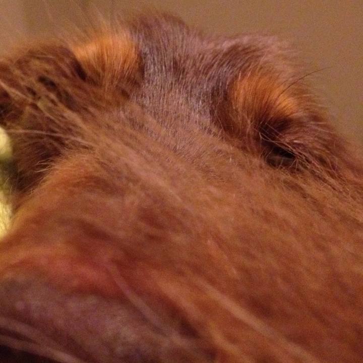 3ae60f58 e795 4a2c 8556 6bffa4e1c8e0