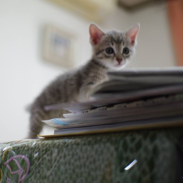 3ae6c12b 7e0f 4c83 936e f288059d6ef5