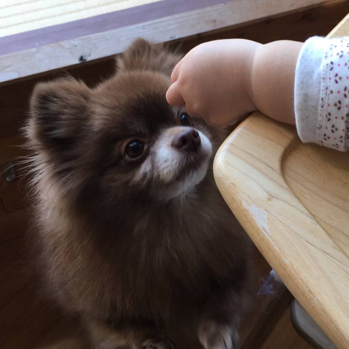 3ae700ad b702 47eb b47f 84c175a82a93