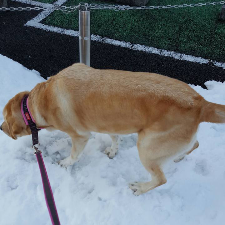 3ae8614d 78d2 4646 b548 44020abe61da