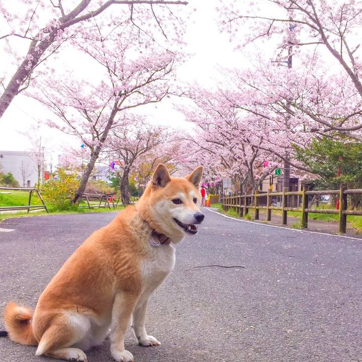 3ae8c41c 67be 47f8 abdf e2b6dd5dacf4