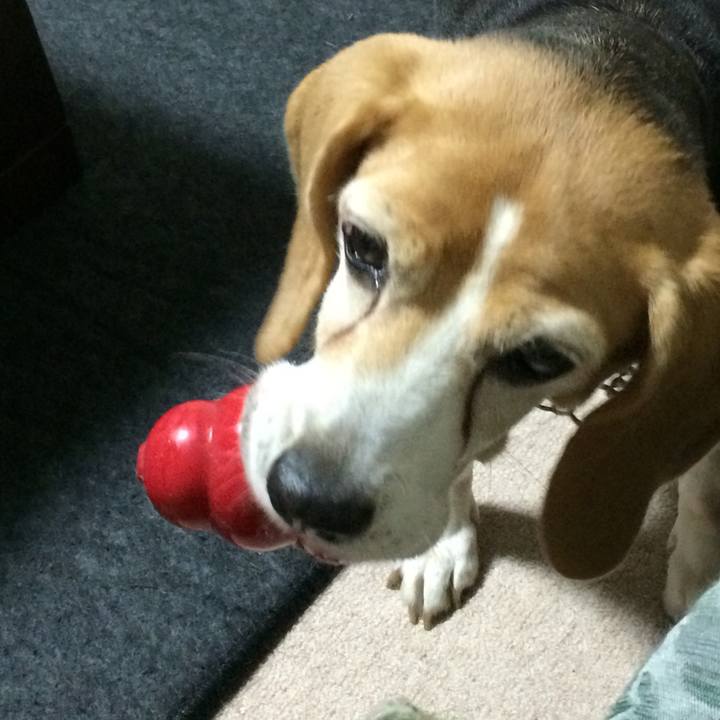 3ae91b12 9d7e 4f66 8eff 5ffc19930ec1