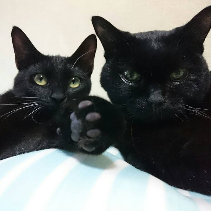 3ae9a38b 5ccb 499f bd49 c1d635ed9379