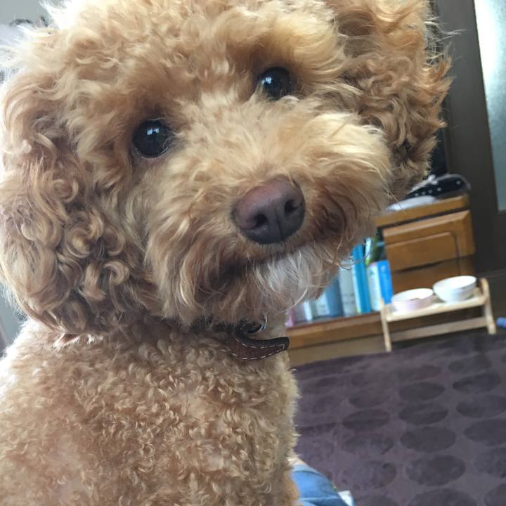 3ae9fa69 b5b7 4b53 a218 97125e89a29e