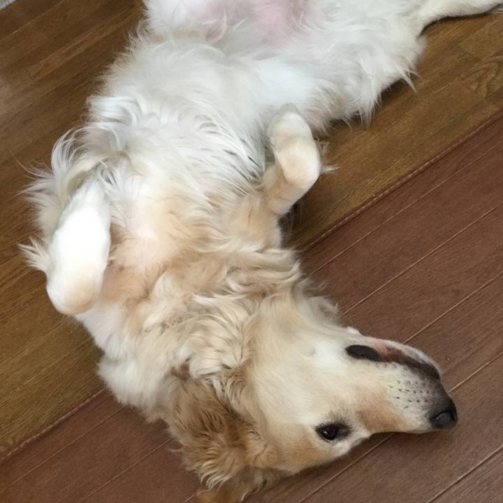 3aea088f 0e39 460d 9ff8 176fd91d32d6