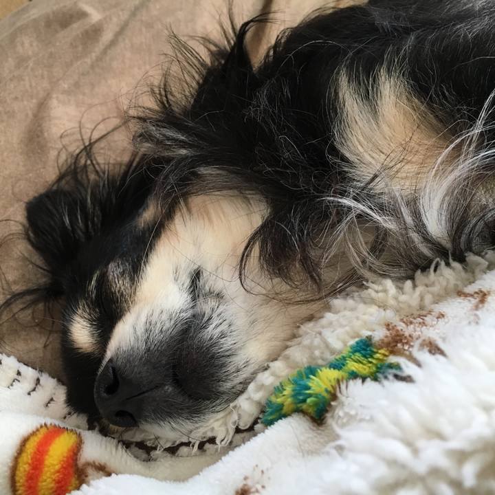 3aea28e8 c4ae 4575 a21f f97dc24eb299