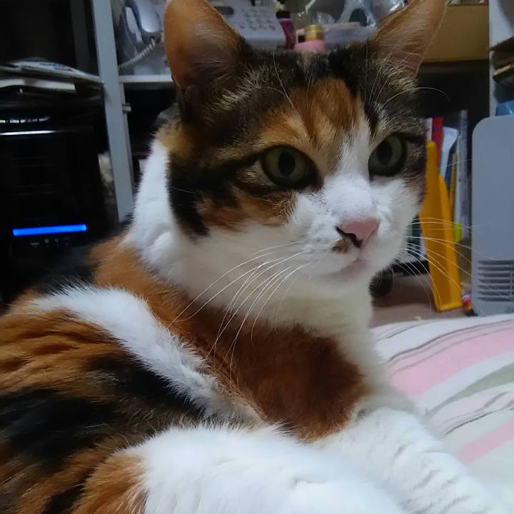 3aea7371 e3ac 430a 86ee c280a4ec70bf