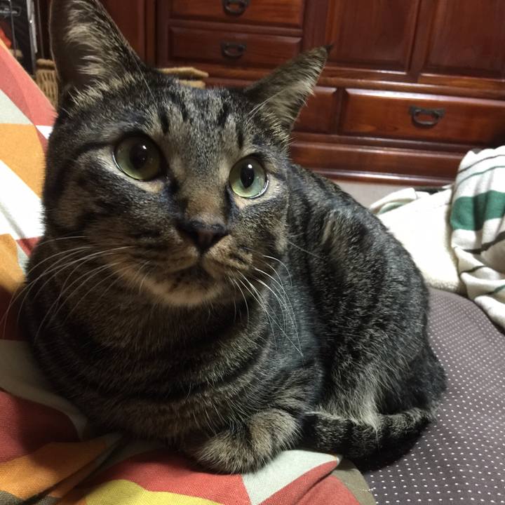 3aea9466 647b 4db6 967b ea88aa5d0d93