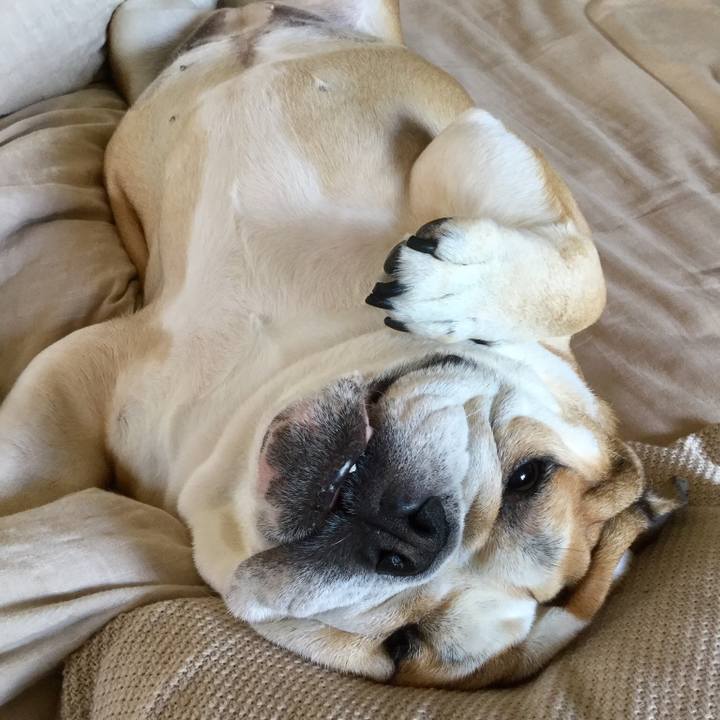 3aeb0ac8 a161 4357 a0c2 9310e8a75dc5