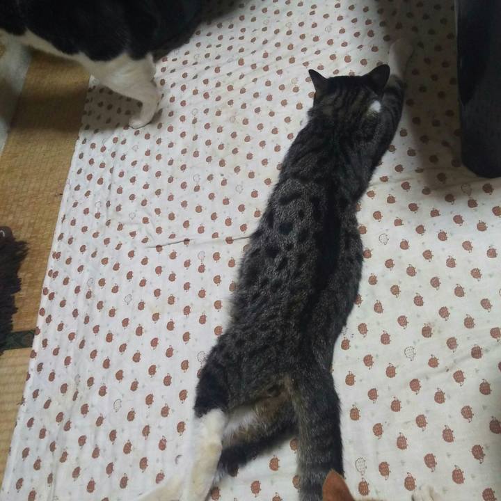 3aeb0cab 05ef 48b2 be4c 740907d5323a