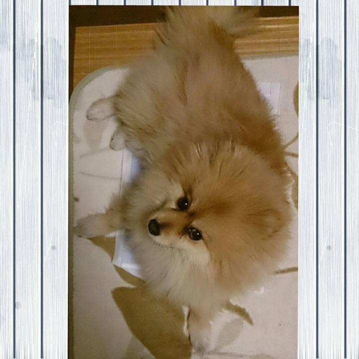 3aeb30bd 5794 4764 ab22 7176e797b24d