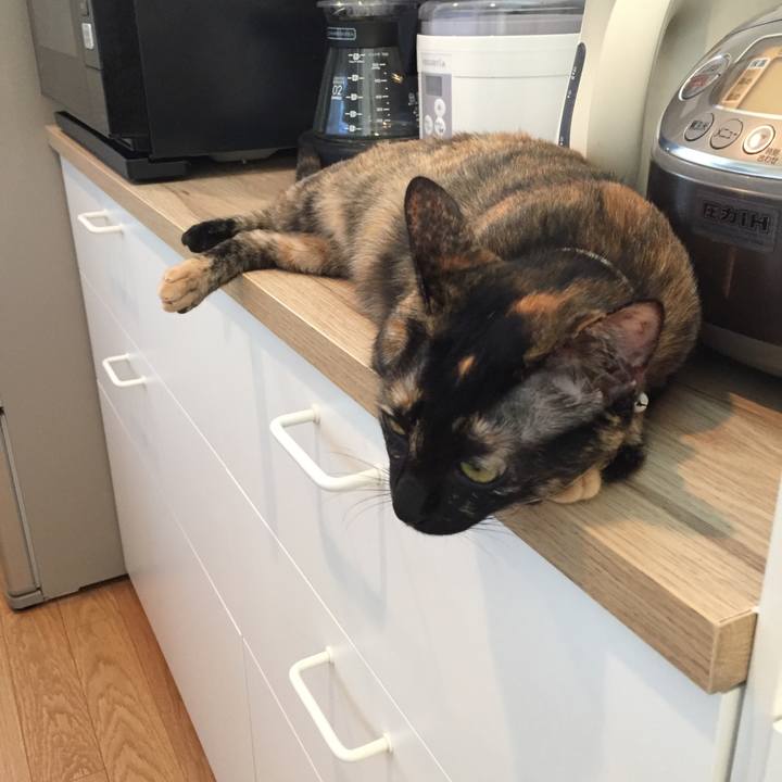 3aeb76fb 8208 4eb0 b581 33571623249e