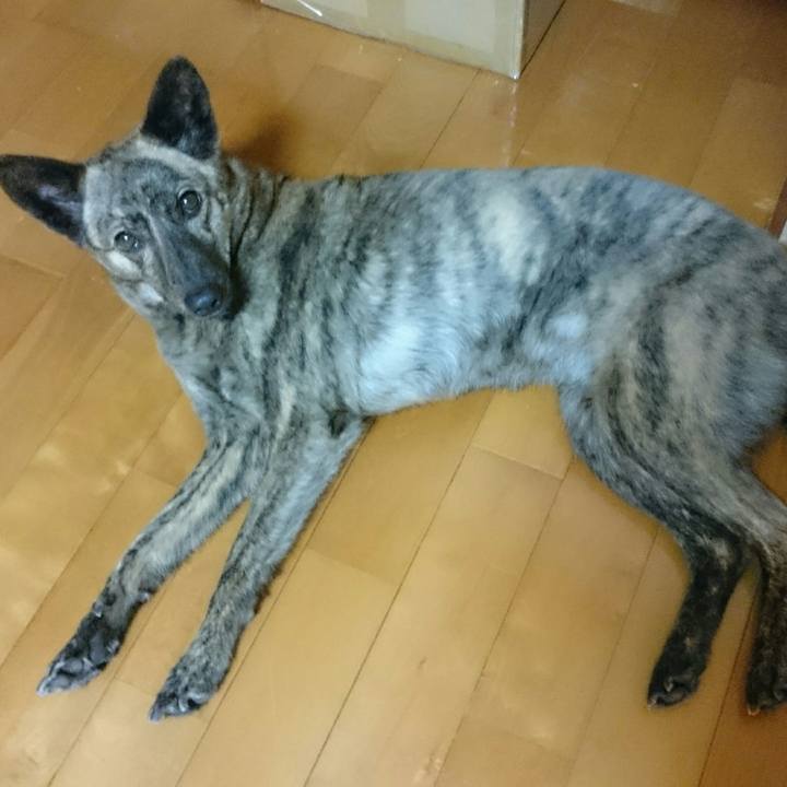 3aeb8f68 d93f 488f a5c4 43be35c7f58a