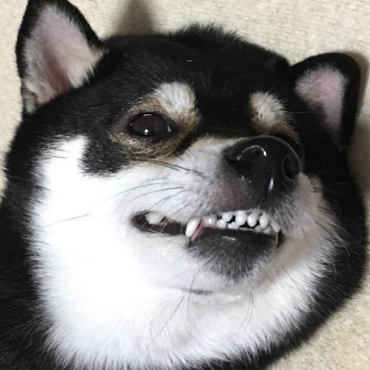 3aeb9ca5 37ec 4a52 8631 59a5c38023ef