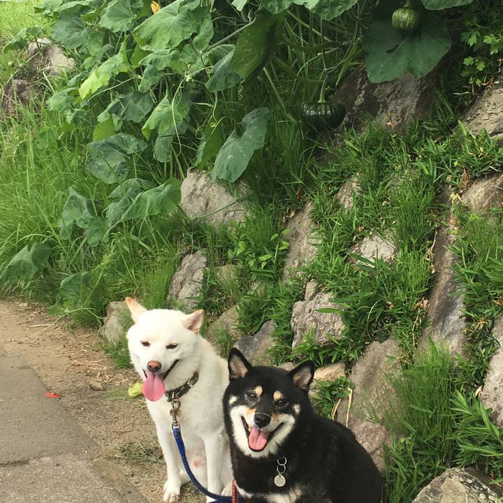 3aeba6e5 4a8d 45c6 9d45 c9d5338d4c25