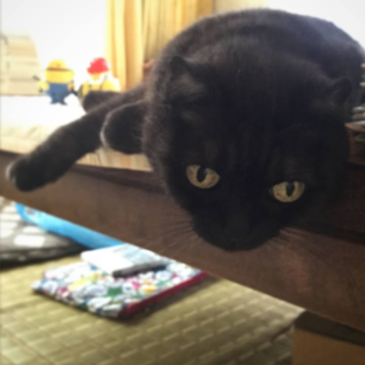 3aebec2a eedb 4e06 ad17 4cb5deae7d33