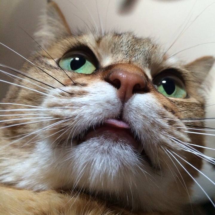 3aebfc34 5bf8 4830 b87f b6a478d1abf0