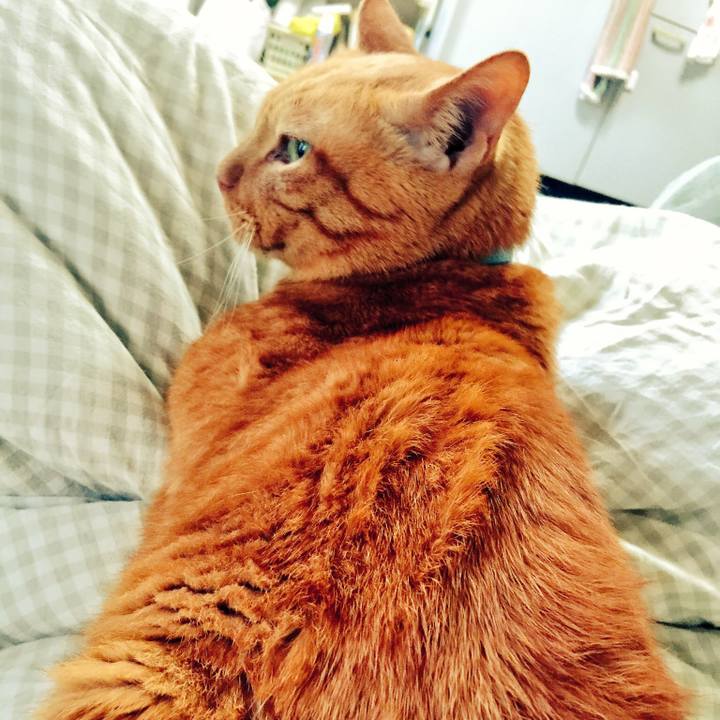 3aec09be 0ef7 4a6f 95f8 3b041ed4ff01