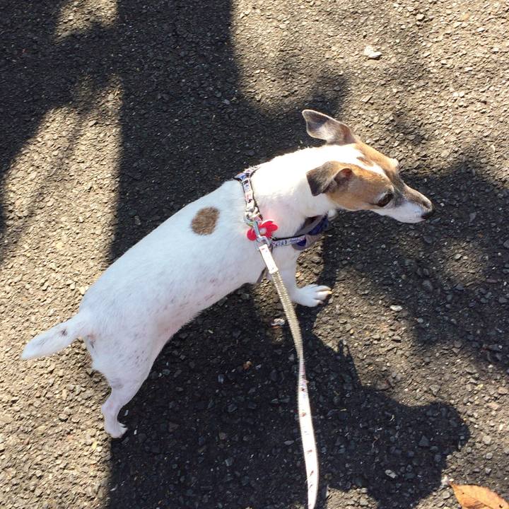 3aedca5f 351a 4b6b 89ff 347cd222114b