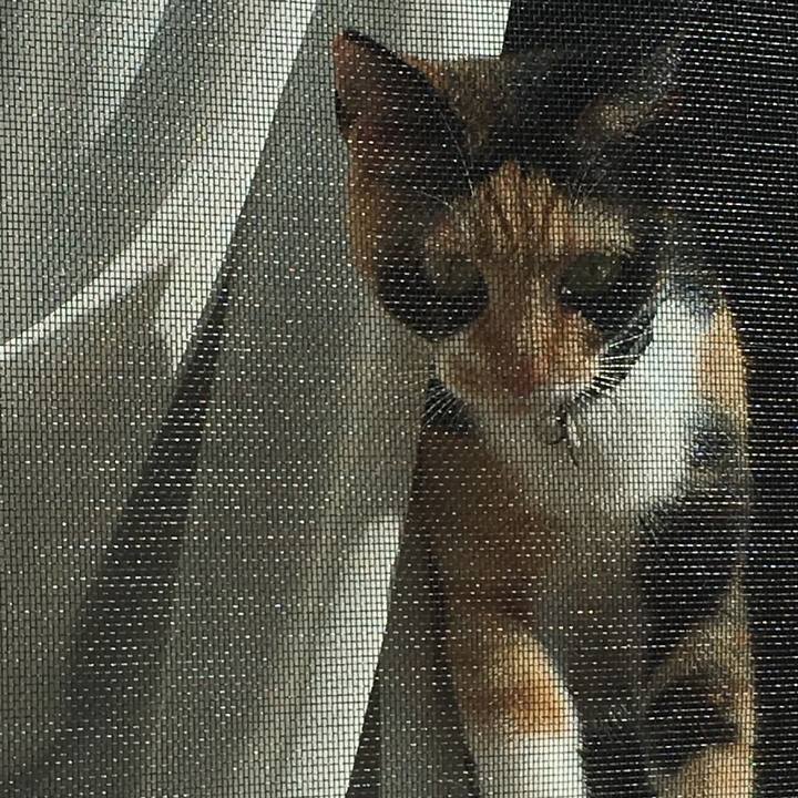 3aedcd42 ae00 4bda 8700 62b6d590686f