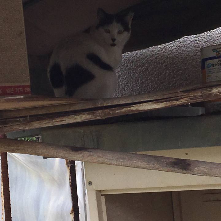 3aee8018 8b85 426c 9d1e 16033fed1d88