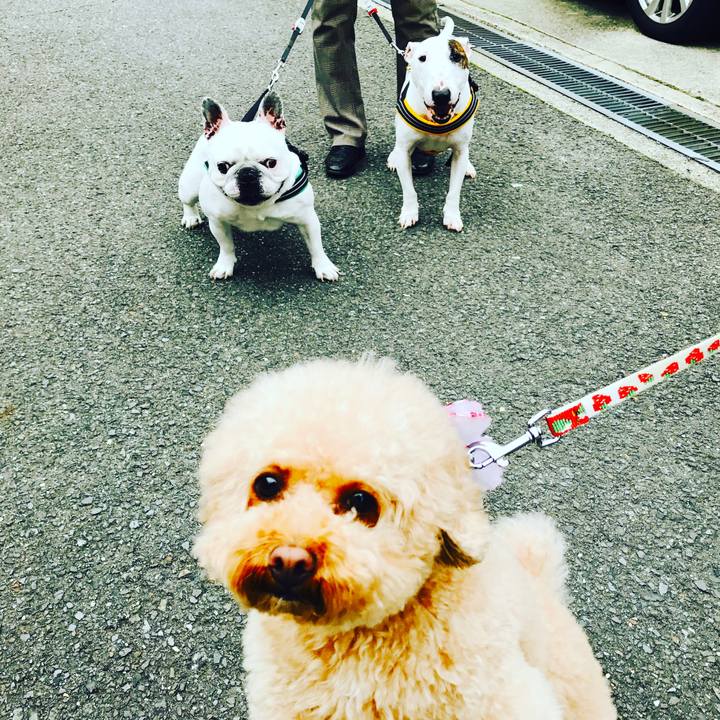 3aeeed71 b113 47bf bffc 5614a271c623