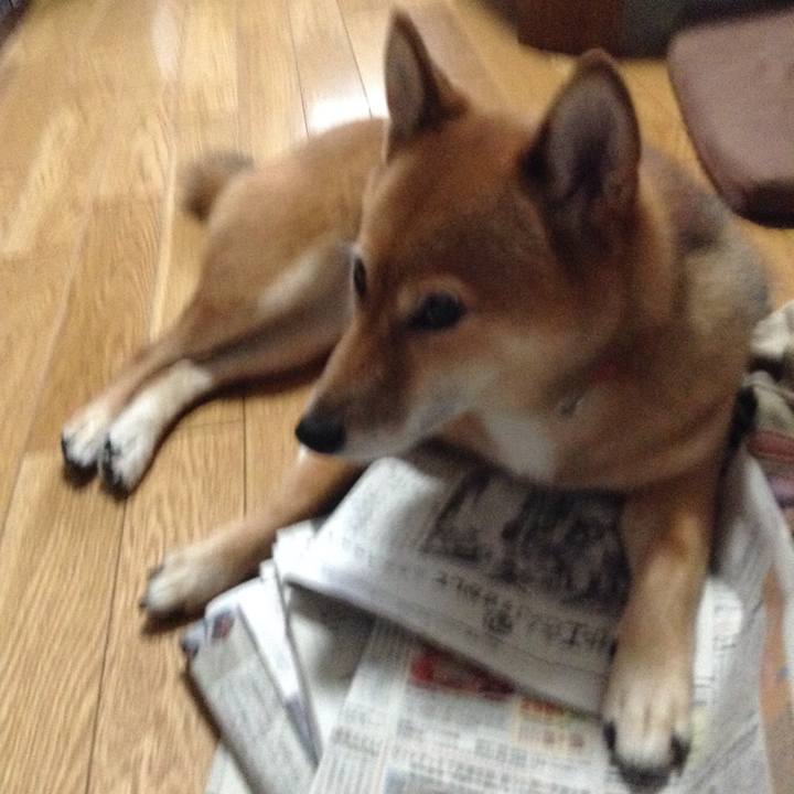 3aef8235 2b17 4ef2 b726 e4b908ac2872