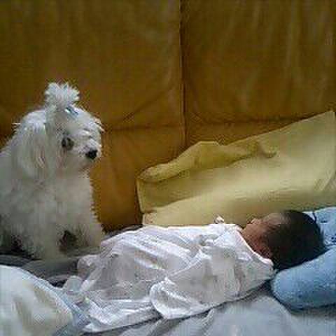 3af026d4 b122 4619 8a73 a30439c6c32d