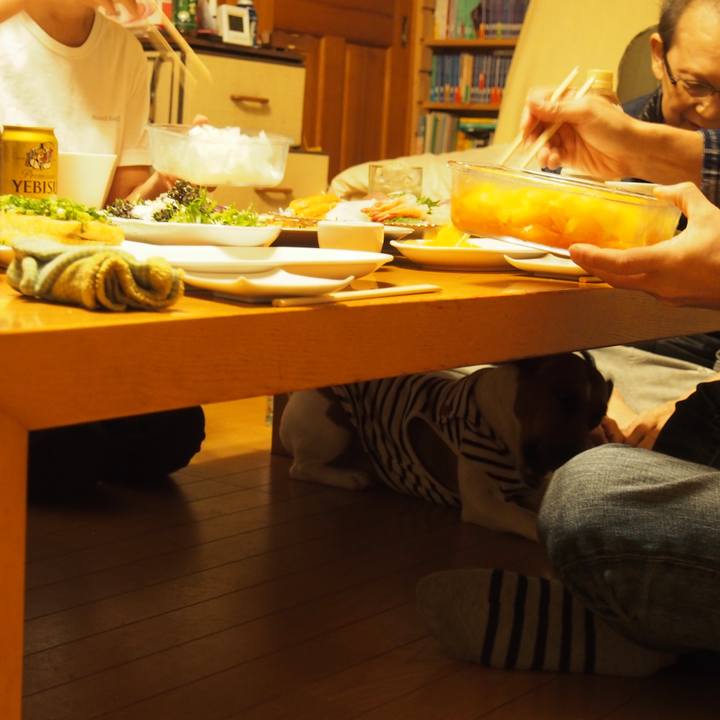 3af0ad5b 3d49 4877 9eb6 56d44fa561ac