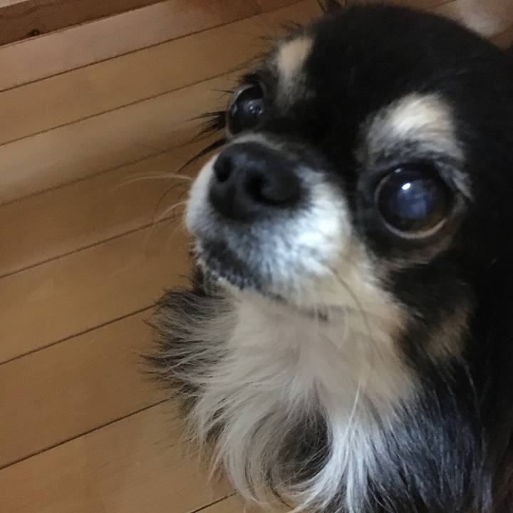 3af0da7c 5fd1 477b 8beb 1438a62eea8d