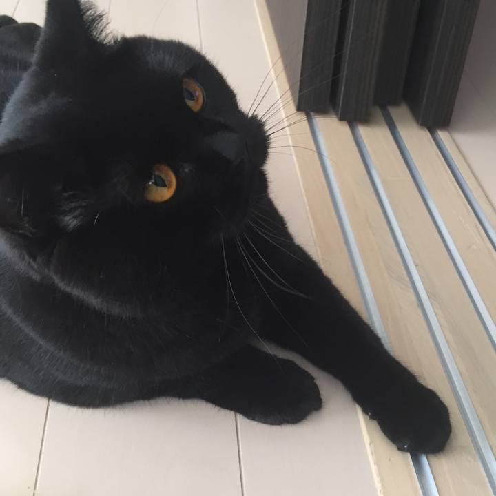 3af16cc3 0c10 409c 9a9b f9ba052f0c2c