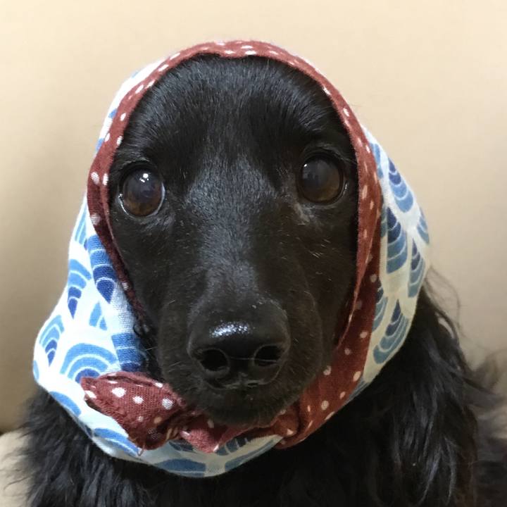 3af18082 30b5 4f1e 81ff a5300d4cf090