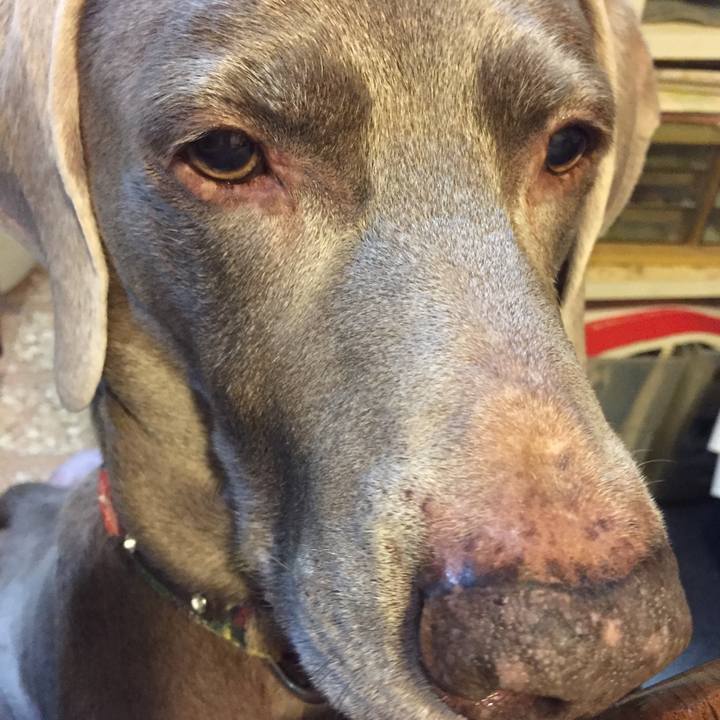 3af1b378 b191 4227 bc3d 609cab18d7fe