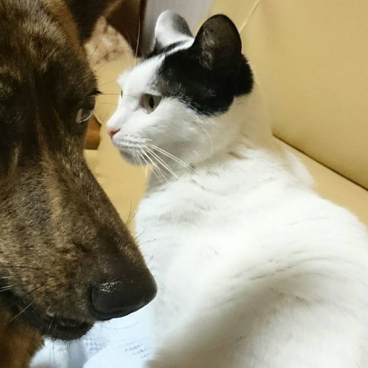 3af21d55 5261 4e36 83c9 a2dee6a68353